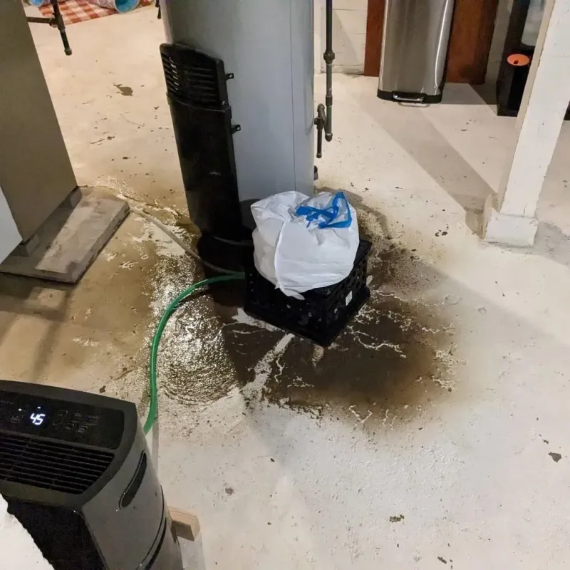 Sewage Backup Cleanup Service in Maud, TX